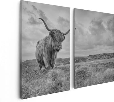 Artaza Canvas Schilderij Tweeluik Schotse Hooglander In De Wei - Zwart Wit - 80x60 - Foto Op Canvas - Canvas Print
