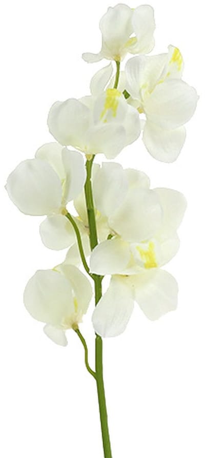 Orchidee kunst crème 50cm 6st, 6 Stück