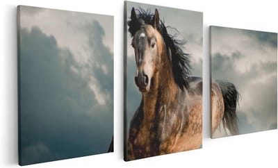 Artaza Canvas Schilderij Drieluik Wilde Paard In Het Zand  - 120x60 - Foto Op Canvas - Canvas Print
