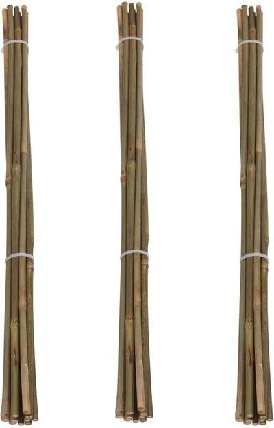 Pro Garden Plantenstokken - 30x - bamboe - H60 cm - plantensteun - bamboestokken/tonkinstokken