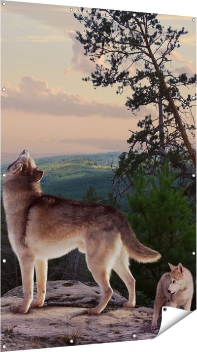 Gards Tuinposter Drie Wolven op een Rots in het Bos - 120x180 cm - Tuindoek - Tuindecoratie - Wanddecoratie buiten - Tuinschilderij