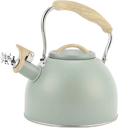 Fluitketel - Waterketel - Koffie en Thee - Anti-hitte handvat - 3L Capaciteit - Groen