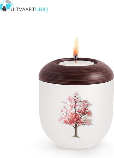 Mini urn Parlemoer kersebloesem – met lichtje