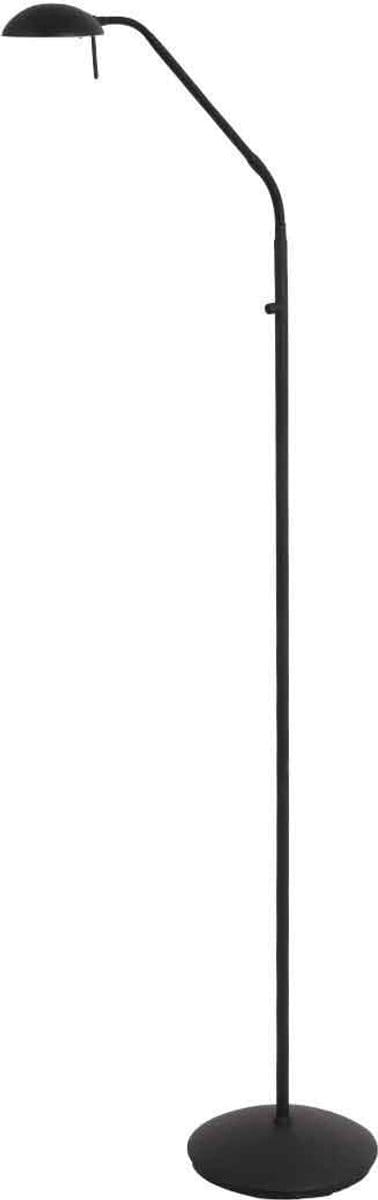 Vloerlamp Biron 1 lichts Zwart met dimmer 2700 Kelvin | Modern | Metaal en Glas | Mexlite