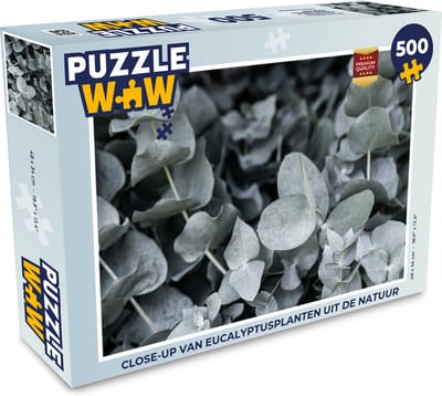 Puzzel Natuur - Planten - Eucalyptus - Bladeren - Legpuzzel - Puzzel 500 stukjes
