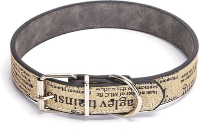 Nobleza Hondenhalsband met glitters en letterprint - Maat S - Verstelbaar 27 / 33 cm - Halsband met gesp - Kunstleder halsband hond - Puppyhalsband - Halsband pup - Goud