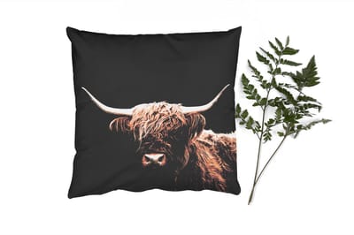 Sierkussens - Kussentjes Woonkamer - 40x40 cm - Schotse Hooglander - Zwart - Hoorn