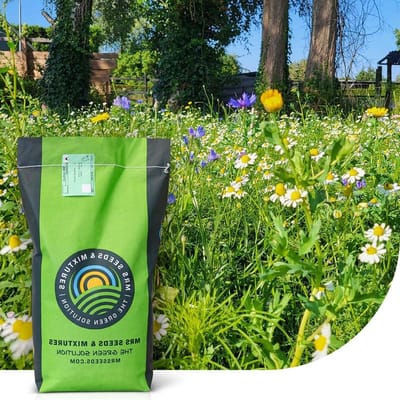 Graszaad met bloemen - Bloemenmix - Kleurrijke tuin - 20% bloemensoorten - 2 kg - Kleurrijk