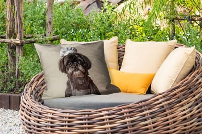 Buitenkussens - Tuin - Kokskleding - Zwart - Hondje - 50x30 cm