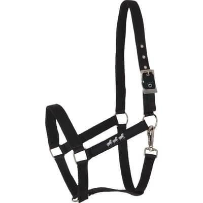 Paardenhalster met neopreen HorseGuard