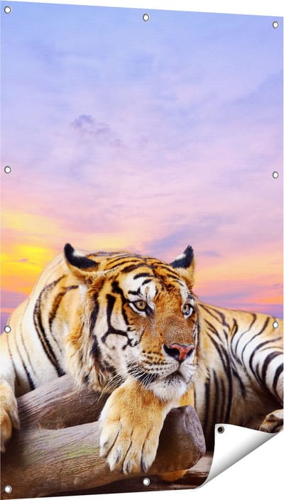 Gards Tuinposter Tijger tijdens Zonsondergang - 80x120 cm - Tuindoek - Tuindecoratie - Wanddecoratie buiten - Tuinschilderij