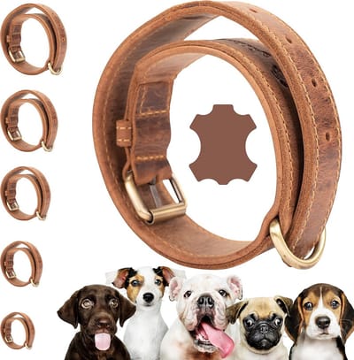 Extreem Robuuste Leren Halsband voor Sterke Honden, Bruin