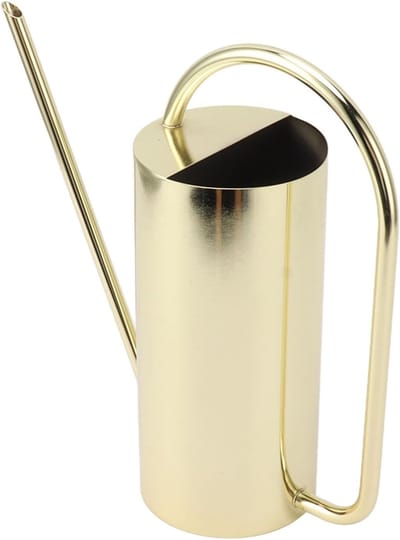 Roestvrijstalen Gieter - Waterkoker Plantenbak - Planten Water Geven - Lange Nauwkeurige Tuit - 1500 ml Capaciteit - Goud