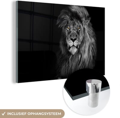 Glasschilderij - Foto op glas - Dieren - Leeuw - Ogen - Oranje - 150x100 cm - Acrylglas - Glasschilderij leeuw - Wanddecoratie glas - Woondecoratie - Woonkamer