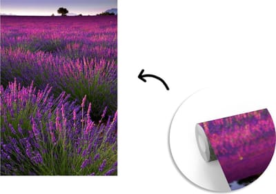 Behang - Fotobehang Paarse lavendel bloemen in een veld - Breedte 175 cm x hoogte 260 cm