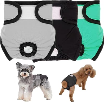 Herbruikbare Hondenbroekjes - Zindelijkheidsondergoed - Hond Zindelijk Houden - Eco-vriendelijk Anti-lekmateriaal - 3 Stuks - Multi-kleur