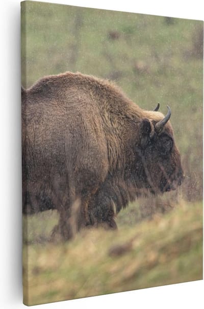 Artaza Canvas Schilderij Buffel - 40x50 cm - Wanddecoratie Dierenkop - Muurdecoratie Wilde Dieren - Kamer Accessoires