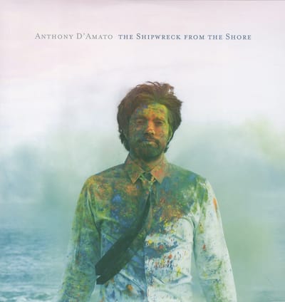 Shipwreck From The Shore - Anthony D'amato