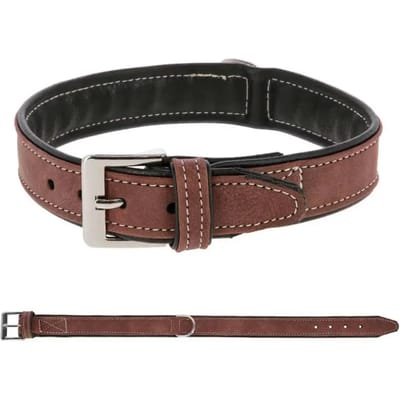 Hondenhalsband Zaldi California