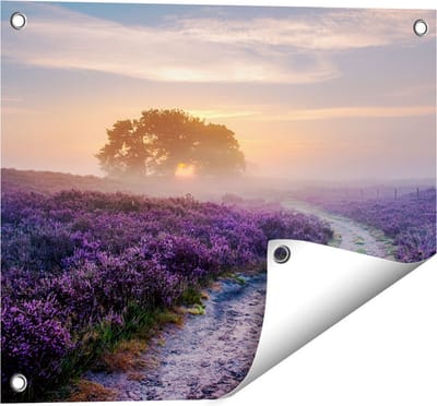 Gards Tuinposter Pad in de Weide van de Veluwe - 50x40 cm - Tuindoek - Tuindecoratie - Wanddecoratie buiten - Tuinschilderij