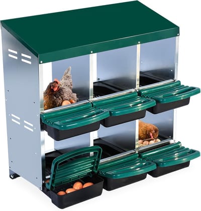 6-Vaks Kippenlegnest met Schuinvlak en Opvangbak - Gegalvaniseerd Metaal - Rolnest voor Kippenhok - Makkelijke Eierverzameling - 81 x 52 x 79 cm - Groen