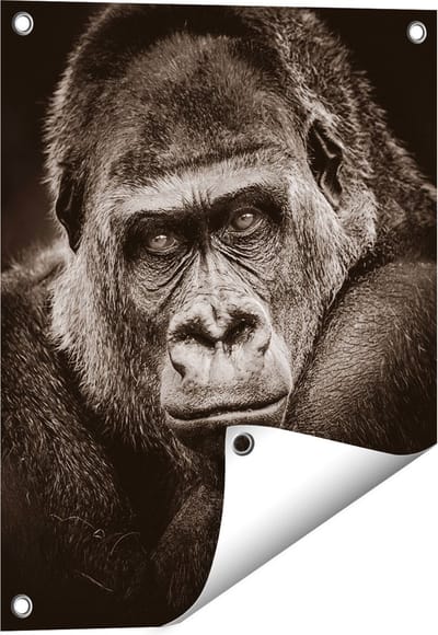 Gards Tuinposter Gorilla - Zwart Wit - 40x50 cm - Tuindoek - Tuindecoratie - Wanddecoratie buiten - Tuinschilderij