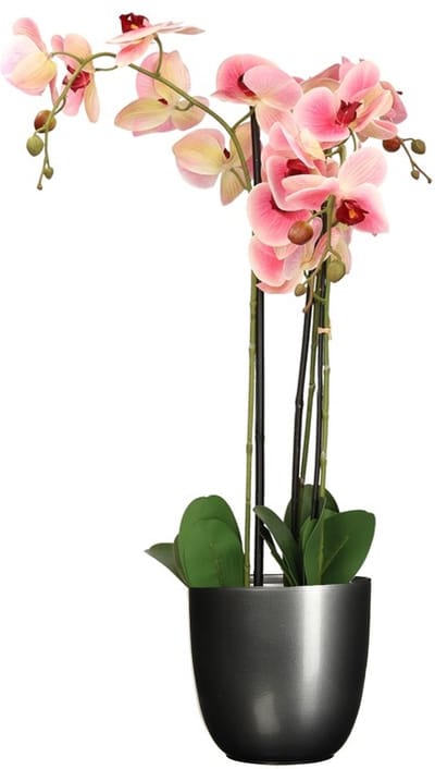 Orchidee kunstplant roze - 75 cm - inclusief bloempot zwart mat - Kunstbloemen in pot