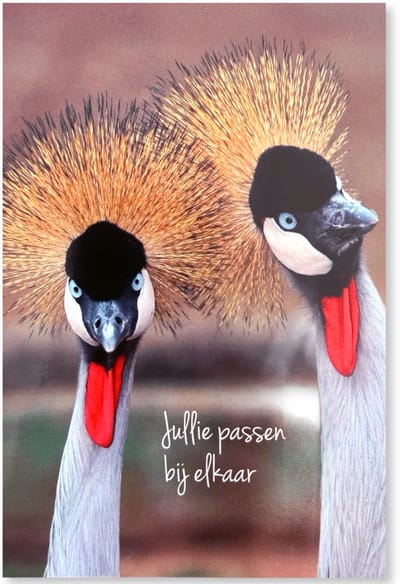 Gefeliciteerd met Jullie Huwelijk - Getrouwd Wenskaart - 12 x 17 cm - gevouwen kaart Inclusief envelop
