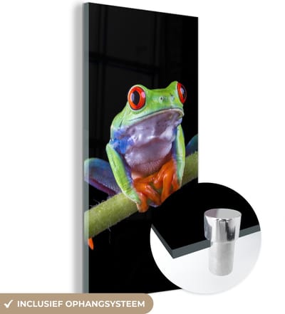 MuchoWow® Glasschilderij 20x40 cm - Schilderij acrylglas - Kikker - Plant - Zwart - Foto op glas - Schilderijen