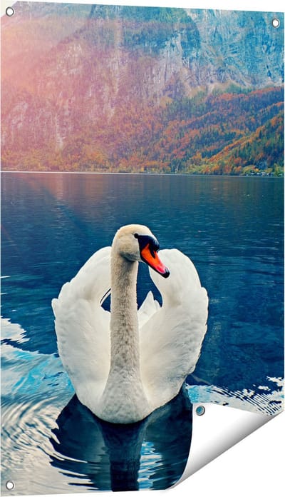 Gards Tuinposter Zwaan op het Water in de Bergen - 60x90 cm - Tuindoek - Tuindecoratie - Wanddecoratie buiten - Tuinschilderij