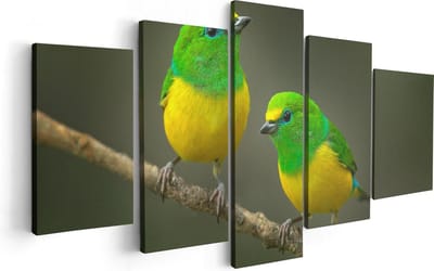 Artaza Canvas Schilderij Vijfluik Twee Groen Gele Zangvogels Op Een Tak - 100x50 - Foto Op Canvas - Canvas Print