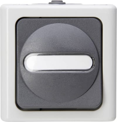 Kopp 560656006 BlueElectric Compleet Uitschakelaar, Wisselschakelaar spatwaterdicht Grijs 1 stuks 1 stuk(s)