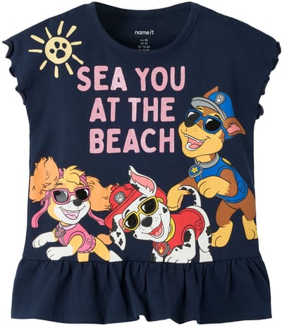 Name it Top paw patrol