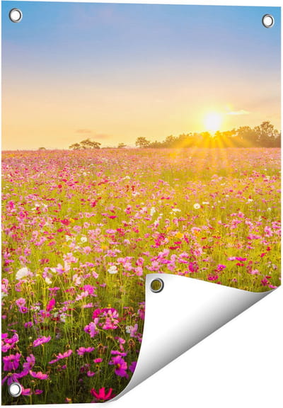 Gards Tuinposter Bloemenveld met Roze Kosmos - 40x50 cm - Tuindoek - Tuindecoratie - Wanddecoratie buiten - Tuinschilderij