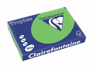 Clairefontaine Trophée Intens | gekleurd papier | A3 | 160 g | 250 vel | grasgroen