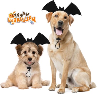 Halloween vleermuisvleugels haarband voor kleine en middelgrote honden, verstelbare kostuumaccessoire voor foto's en cosplay, zwart en leuk voor feestjes