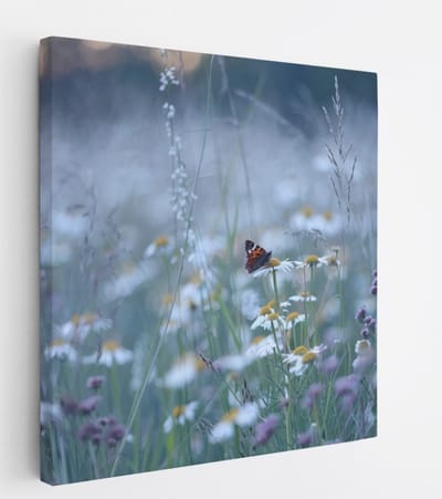 Saammp Canvas Schilderij - Vlinder in bloemenveld - Dieren - Natuur - 20x20 - Foto op canvas - Wanddecoratie - muurdecoratie Woonkamer - Slaapkamer decoratie - Canvas Print