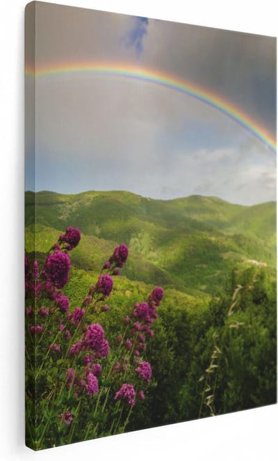 Artaza Canvas Schilderij Landschap - 30x40 cm - Klein - Wanddecoratie Regenboog - Muurdecoratie Bergen - Kamer Accessoires Bloemen