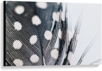 Canvas  - Veer met Stippen in Zwart Wit  - 90x60cm Foto op Canvas Schilderij (Wanddecoratie op Canvas)
