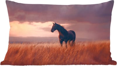 Sierkussens - Kussentjes Woonkamer - 60x40 cm - Paard - Wolken - Open veld