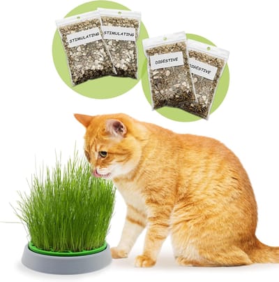 Thijox - Dubbele Zaden Catnip Kit - 4 Zakjes Kattenkruid Zaden, Stimulerend voor Katten, 100% Maïsplastic, Geschikt voor Spijsvertering, Binnen en Bui