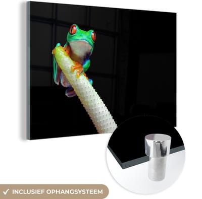 MuchoWow® Glasschilderij 150x100 cm - Schilderij acrylglas - Kikker - Dieren - Plant - Foto op glas - Schilderijen