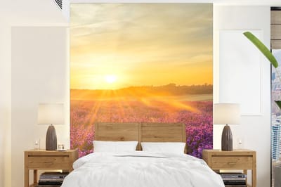 Behang - Fotobehang Lavendel - Zonsondergang - Bomen - Paars - Breedte 205 cm x hoogte 280 cm