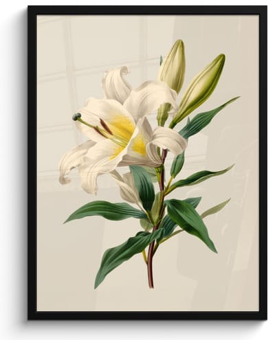 Poster in lijst - Fotolijst 60x80 cm - Posters - Lelie - Elegant - Botanisch - Beige - Posterlijst zwart - Decoratie - Wanddecoratie woonkamer - Muurdecoratie slaapkamer