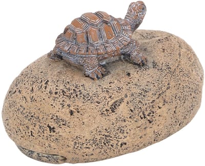Dailygoods- Sleutelverstopper Levensecht Schildpadbeeld - Harsmateriaal - Waterdicht - Privacybescherming - Decoratie - Afmetingen 12,2x8x6,5cm - Sleutelverbergdoos
