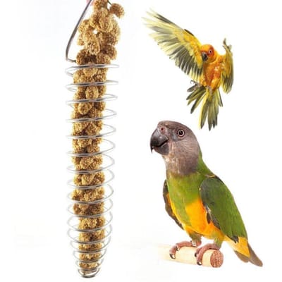 Roestvrij Staal Voederapparaat Vogelkooi Voederbak Papegaai Vogelvoer Fruitmand Speelgoed beige