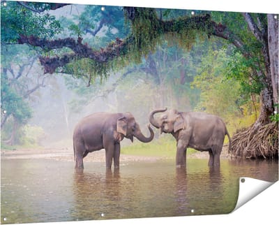Gards Tuinposter Twee Olifanten in het Water - 150x100 cm - Tuindoek - Tuindecoratie - Wanddecoratie buiten - Tuinschilderij