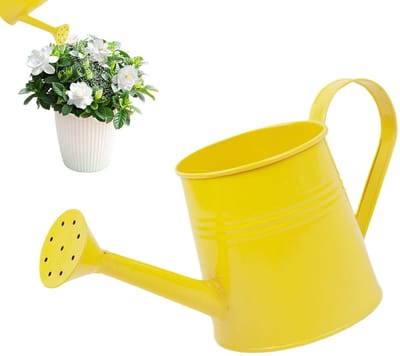 Gieter, 1 liter bloemenvaas, plantenpot, lange uitloop, bloemengieter voor tuin, broeikas, binnen, buiten, balkon, terras, kantoor