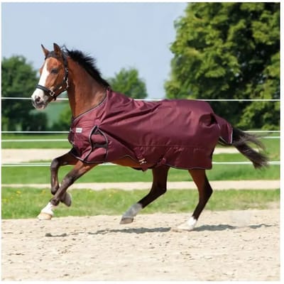 Outdoor paardendeken Kavalkade Alaska IV 300 g