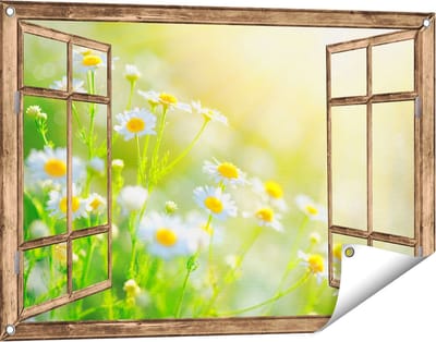 Gards Tuinposter Doorkijk Witte Kamille Bloemen met Zonneschijn - 90x60 cm - Tuindoek - Tuindecoratie - Wanddecoratie buiten - Tuinschilderij
